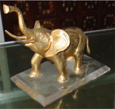 �ٻ�21����ҽҩ��չ������ҽҩ����� 